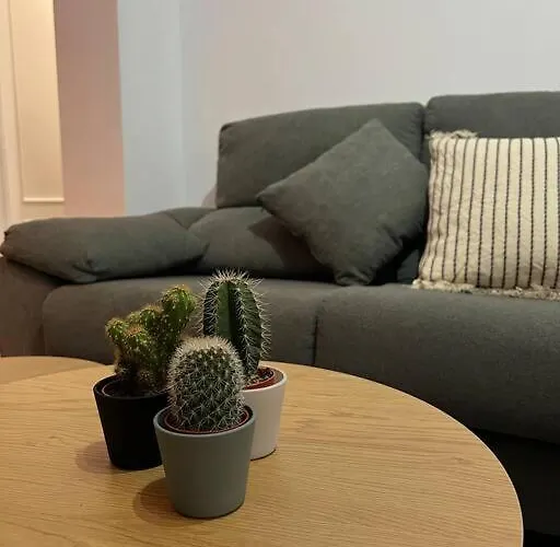 Top Duplex Centro \